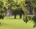 Topiaryelephant.jpg
